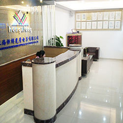 Shanghai Hengxiang Co. eletrônico ótico, Ltd.